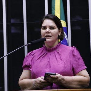 PL penaliza invasões de terras com suspensão ou impedimento de acesso à Programa de Reforma Agrária PL penaliza invasões de terras com suspensão ou impedimento de acesso à Programa de Reforma Agrária