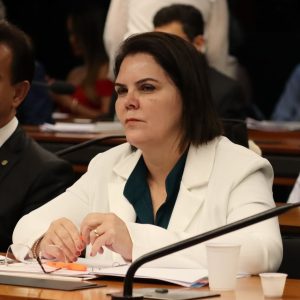 Coronel Fernanda defende adequação dos custeios e investimentos para o novo Plano Safra 23/24