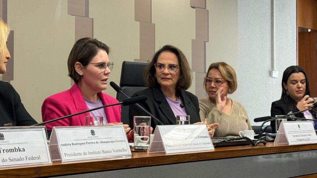 Audiencia publica agosto lilas (2)