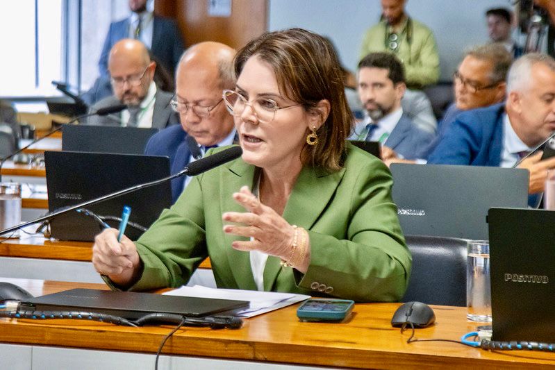 Cel fernanda 2026 (1)