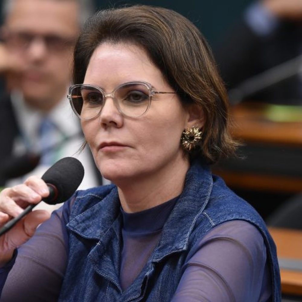Coronel fernanda imagem de zeca ribeiro camara dos deputados